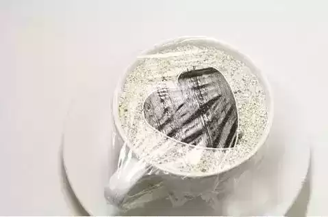 火龙果苗怎么种植盆栽　火龙果可以盆栽养殖吗-第10张