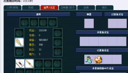 梦幻西游宝宝装备藏宝阁怎么买　梦幻西游宝宝升级最快的方法-第1张