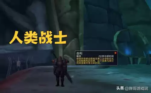 wow联盟圣骑士什么种族好　魔兽世界骑士最佳种族-第1张