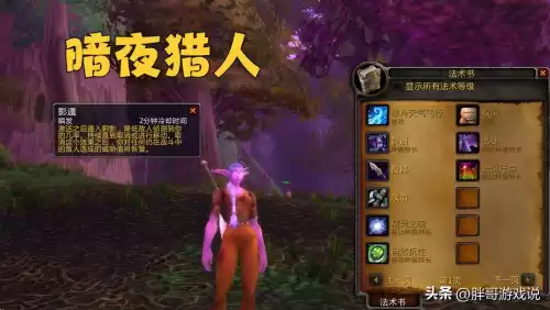wow联盟圣骑士什么种族好　魔兽世界骑士最佳种族-第4张