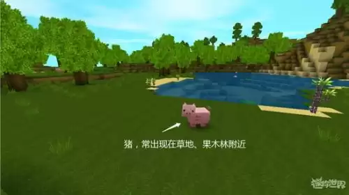 迷你世界猪在哪个地方　迷你世界小猪-第3张