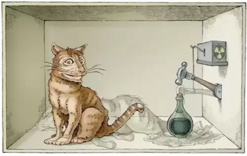 原神猫猫是几星　原神猫有什么用-第1张