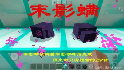 我的世界小黑塔末影螨怎么放　我的世界小黑塔如何防止瞬移-第1张