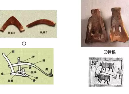 战国全面战争周朝怎么玩　罗马全面战争怎么玩-第9张