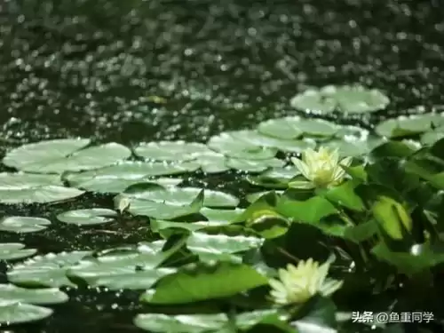公历4月26日是什么日子　四月五日是什么日子-第2张