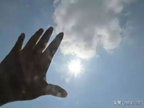 公历4月26日是什么日子　四月五日是什么日子-第9张