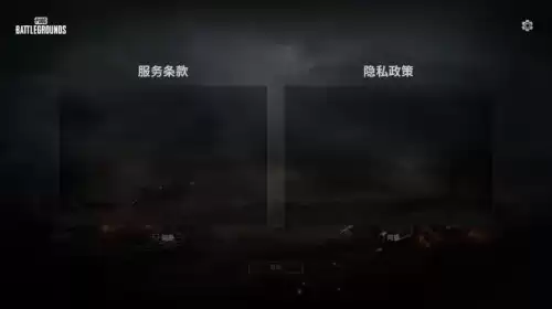 绝地求生买东西为什么是usd　绝地求生衣服在哪里买-第5张