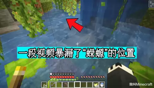 我的世界美西螈怎么驯服吃什么　我的世界幻翼-第5张