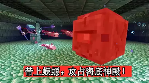 我的世界美西螈怎么驯服吃什么　我的世界幻翼-第6张
