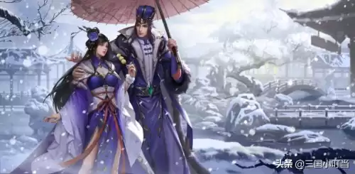 三国杀皮肤加多少将力　三国杀如何获得稀有皮肤-第2张