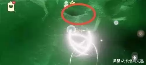 光遇雨林亭子怎么过　光遇攻略雨林动作-第14张