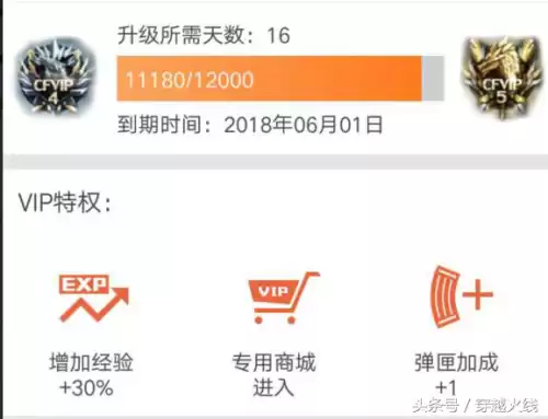 cf会员等级加多少弹夹　cf会员等级-第3张