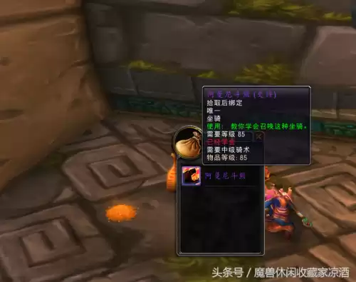 魔兽世界祖阿曼熊坐骑以前是不是很难　TBC魔兽世界祖阿曼掉落-第19张