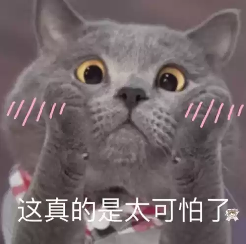 天刀天龙号怎么获得　天龙号-第1张