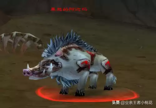 剃刀沼泽猪boss能抓吗　怀旧服金色猪哪里抓-第5张