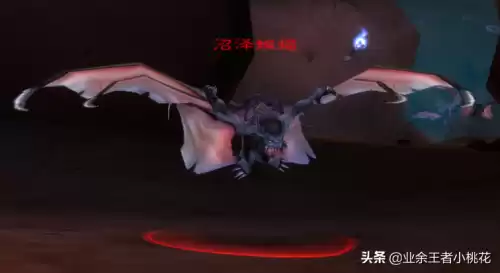 剃刀沼泽猪boss能抓吗　怀旧服金色猪哪里抓-第4张