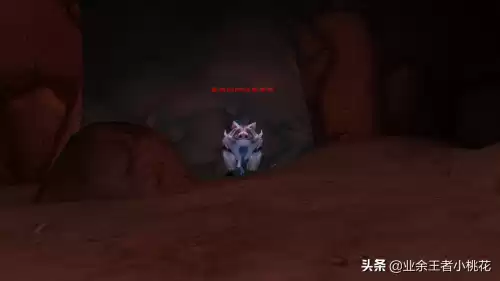 剃刀沼泽猪boss能抓吗　怀旧服金色猪哪里抓-第9张