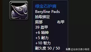 剃刀沼泽猪boss能抓吗　怀旧服金色猪哪里抓-第12张