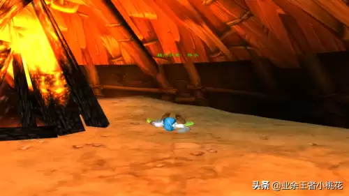 剃刀沼泽猪boss能抓吗　怀旧服金色猪哪里抓-第15张