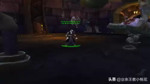 剃刀沼泽猪boss能抓吗　怀旧服金色猪哪里抓-第19张
