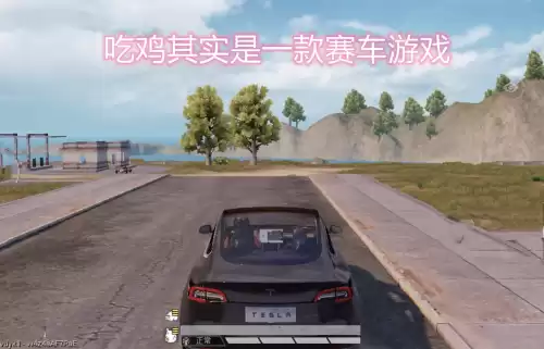 吃鸡加入一个小队是什么意思　和平精英的小队是干嘛的-第2张