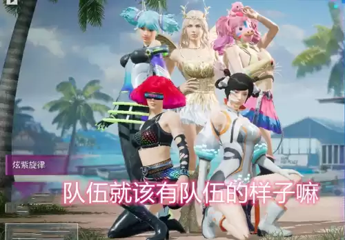 吃鸡加入一个小队是什么意思　和平精英的小队是干嘛的-第7张