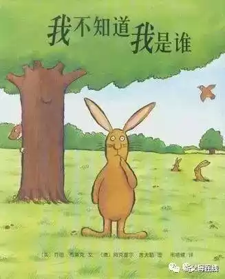 用什么咕噜球捕捉机械贝贝　贝壳打磨出来的珠子叫什么-第15张