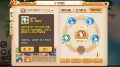 梦幻西游合法宝内丹放哪个位置　梦幻西游金凤羽-第1张