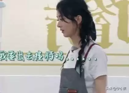 开心大厨这个游戏怎么没有了　一个有很多国家的餐厅游戏-第23张