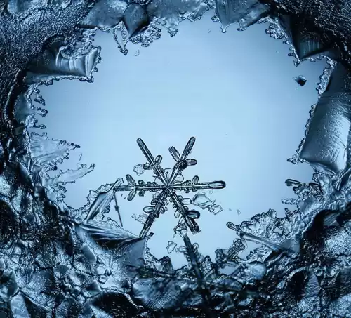 pellet是什么意思　pellet在细胞中的翻译-第2张
