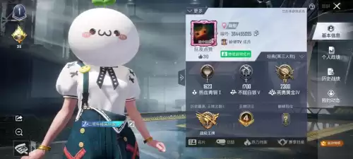 怎么查吃鸡好友什么时候加的　和平精英如何查看加好友的时间-第3张