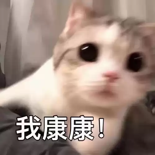 怪物猎人崛起怎么保存游戏进度　怪物猎人崛起保存-第1张