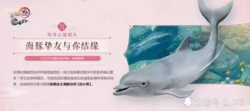 剑网三蓬莱是什么时候出的　剑网3蓬莱怎么样-第22张