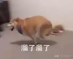 原神不同的指引有什么用　原神的指引有什么用-第15张