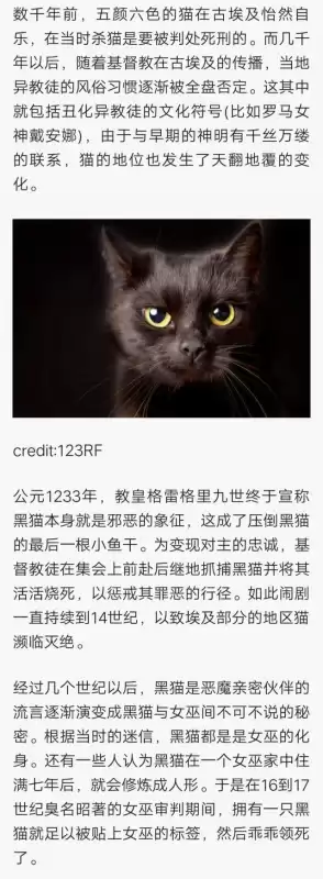 第五人格安是怎么死的　第五人格安的背景故事-第1张