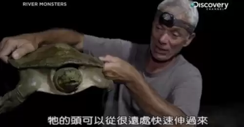 为什么科教频道没有大真探了　广东经济科教频道在哪里看-第8张