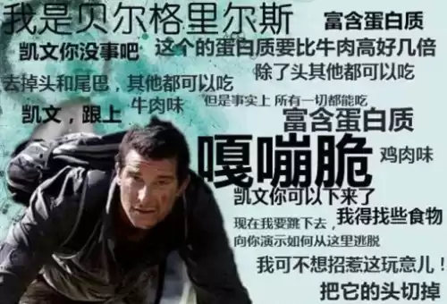 为什么科教频道没有大真探了　广东经济科教频道在哪里看-第10张