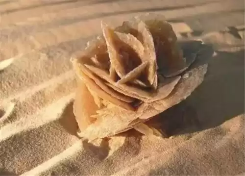 沙漠玫瑰石头可以放在家里吗　内蒙古沙漠玫瑰石头价格-第1张