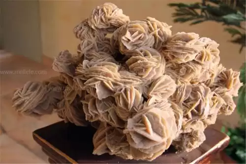 沙漠玫瑰石头可以放在家里吗　内蒙古沙漠玫瑰石头价格-第3张