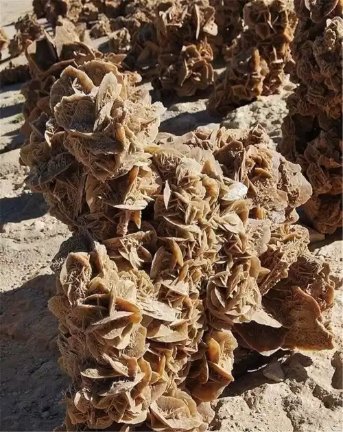 沙漠玫瑰石头可以放在家里吗　内蒙古沙漠玫瑰石头价格-第5张