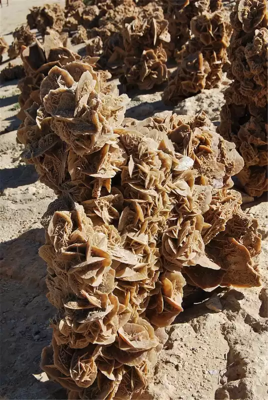 沙漠玫瑰石头可以放在家里吗　内蒙古沙漠玫瑰石头价格-第7张