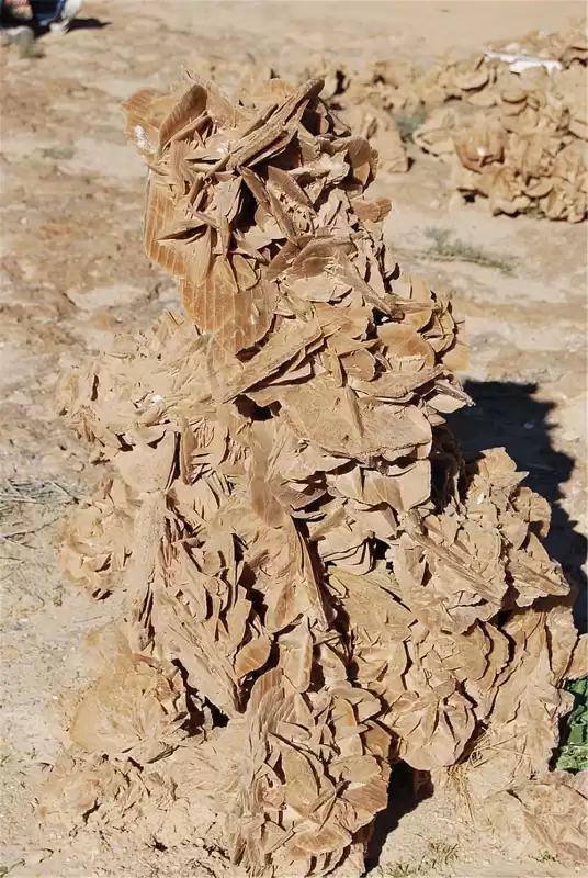 沙漠玫瑰石头可以放在家里吗　内蒙古沙漠玫瑰石头价格-第6张