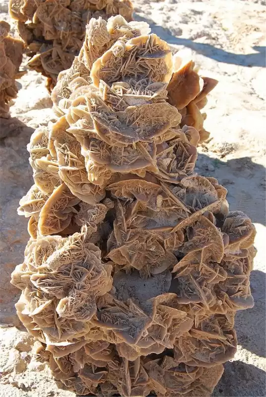 沙漠玫瑰石头可以放在家里吗　内蒙古沙漠玫瑰石头价格-第8张