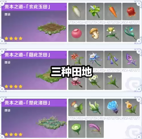 原神怎样才能种花　原神种子怎么种植-第4张