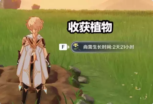 原神怎样才能种花　原神种子怎么种植-第5张