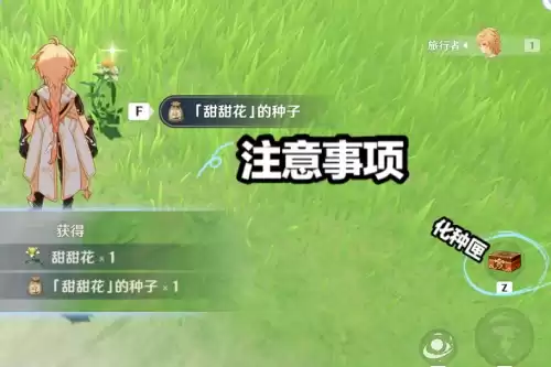 原神怎样才能种花　原神种子怎么种植-第7张