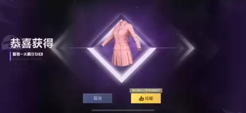 吃鸡火箭少女衣服多少钱　吃鸡火箭少女绝版了吗-第3张