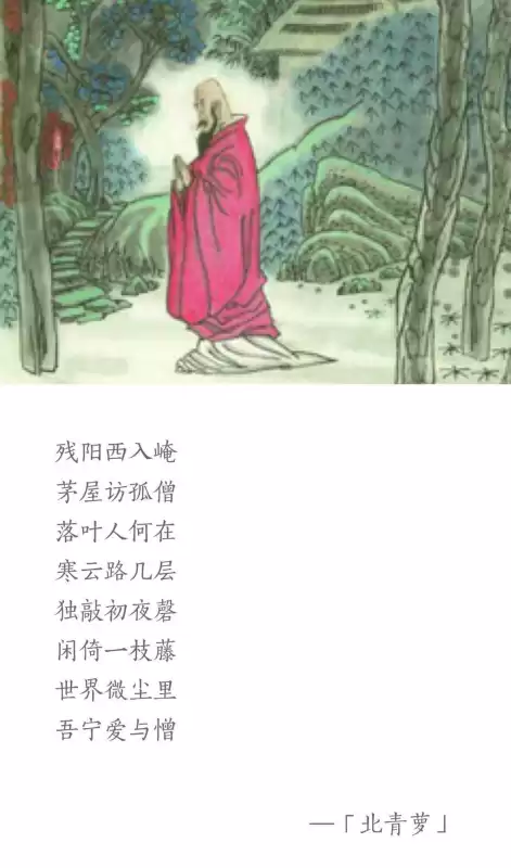 北青萝是什么意思　北青萝作家-第2张