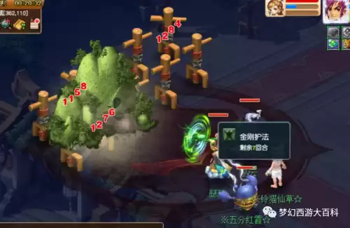 梦幻须弥宝宝吃什么元宵　法力元宵加多少法资-第34张