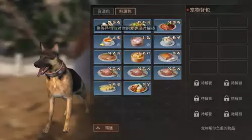 明日之后宠物怎么触发隐藏性格　明日之后宠物职业选哪个好-第24张